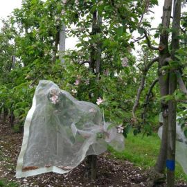 ‘Wageningen’ onderzoekt de agro-ecologie voor De Fruitmotor