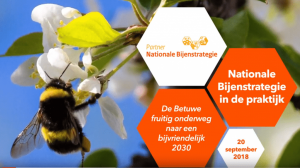 De Fruitmotor laat Nederland en de Betuwe zoemen op Nationale Bijenstrategiedag